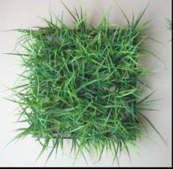 Artificial Grass