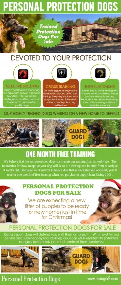 Personal Protection Dogs