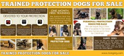 Personal Protection Dogs For Sale