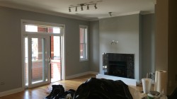 Professional Painters Chicago