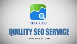 Quality SEO Service