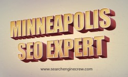 seo expert st paul