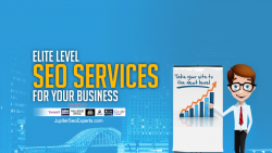 Top Local SEO Experts Miami