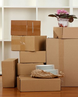 Dallas movers