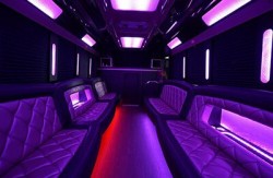 lansing limousine