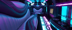 ann arbor limousine