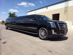 Denver Limousine