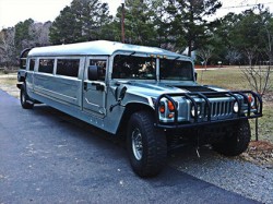 new orleans limo