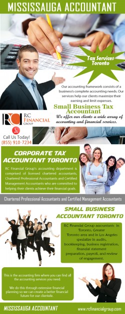 Small Business Tax Accountant