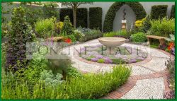 Garden Design/Consultation Australia wide