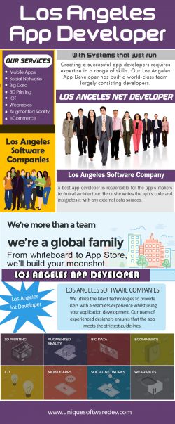 Los Angeles Software Development Companies