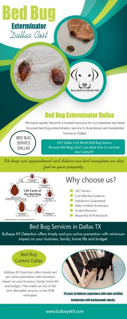 Bed Bug Exterminator Dallas Cost