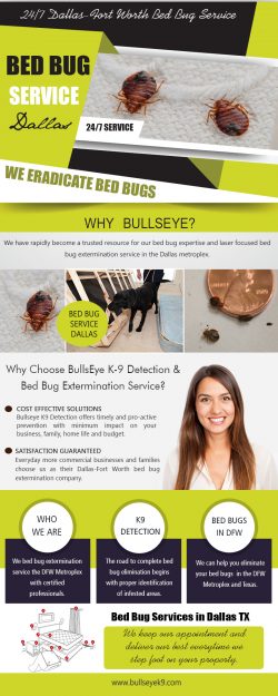 Bed Bug Service Dallas