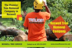 Roswell tree removal company