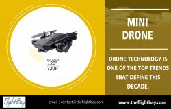 Mini Drone