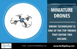 Miniature Drones