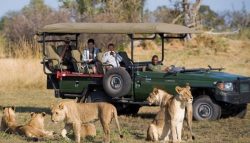 African safari tour company