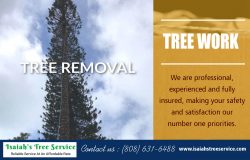 Tree Work