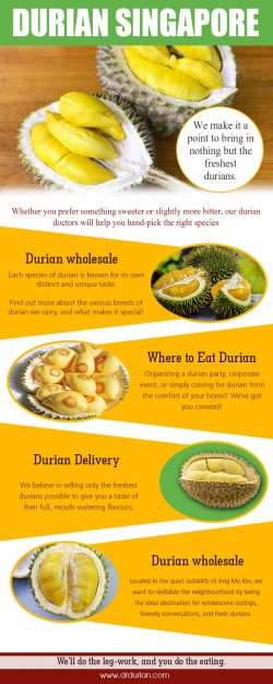 Durian Singapore