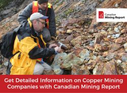 Get Detailed Information on Copper Mining Companies with Canadian Mining Report