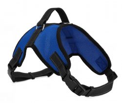 dog mesh harness manufacturer