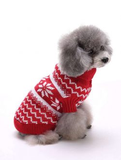 dog clothes manufacturer