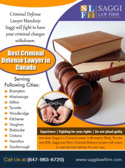 Best Criminal Defense Lawyer in Canada