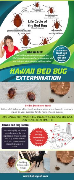 Hawaii Bed Bug Extermination | 4692000637 | bullseyek9.com