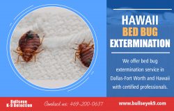 Hawaii Bed Bug Services | 4692000637 | bullseyek9.com