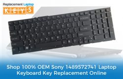 Buy 100% OEM Sony 1489572741 Laptop Keyboard Key Replacement