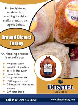 Ground Diestel Turkey