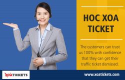 Contest Traffic Ticket