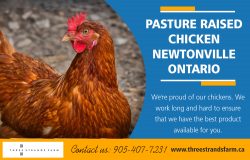 Pasture Raised Chicken Newtonville in Ontario