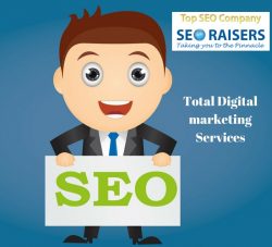 Total Digital Marketing Services By SEORAISERS