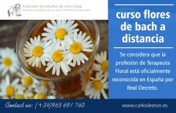 curso flores de bach a distancia