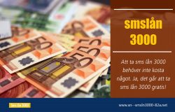 nya smslån 3000