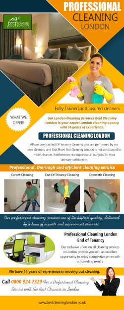 Professional Cleaning London