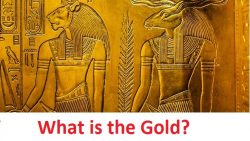 What is the Gold?