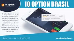 IQ Option Brasil