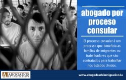 Abogado por proceso consular