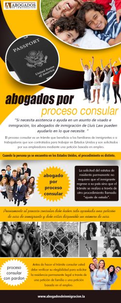 Abogados por proceso consular