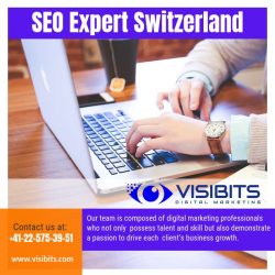 SEO Expert Switzerland