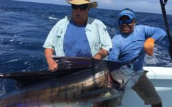 Get Affordable Quepos Fishing Packages by Blue Horizon Costa Rica