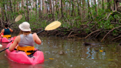 Manuel Antonio Tours by Blue Horizon Costa Rica