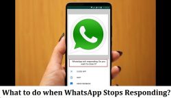 What to do when WhatsApp stops responding?