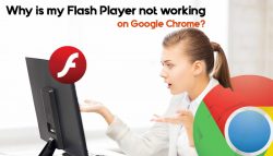 Why is my Flash Player not working on Google Chrome?