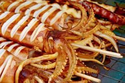 Grilled Squid