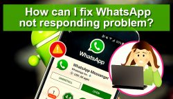 How can I fix WhatsApp not Responding Problem?