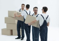 Best Movers Services in Vaughan