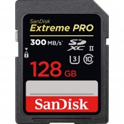 Camera Memory Card